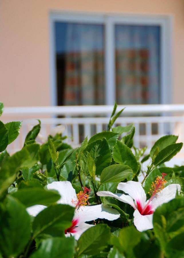 Diagoras Hotel All Inclusive 팔리라키 외부 사진